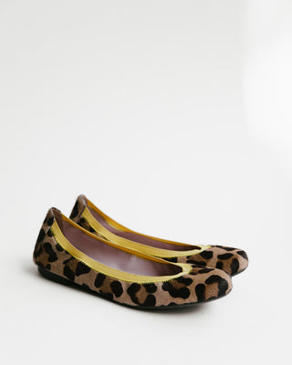 BALLERINAS ANIMAL PRINT